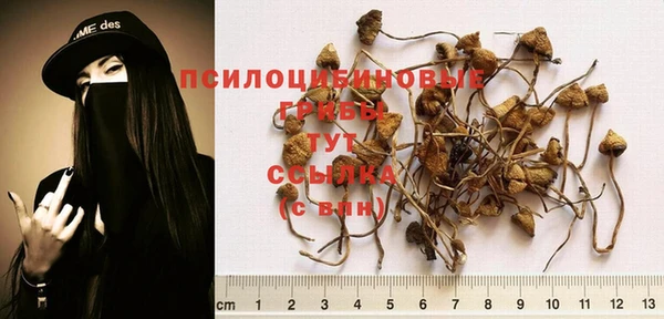 мяу мяу мука Бородино